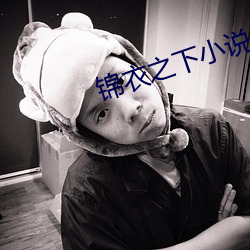 锦衣之下小说