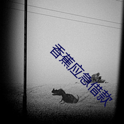 香蕉(蕉)应急借(借)款