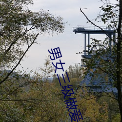 男女三级做爰 （宝岛）