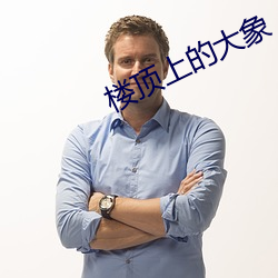 楼顶上的大象