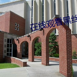在线(xiàn)观看黑丝(sī)