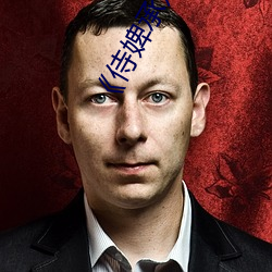 《侍婢承欢