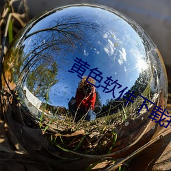 黄色软件下(下)载抖阴