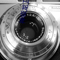 神級龍衛剛剛最快更新