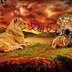鸿运国际·(中国)会员登录入口