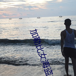 加勒比(bǐ)女(nǚ)海盗3
