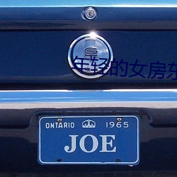 年輕的女房東李采潭中文厚