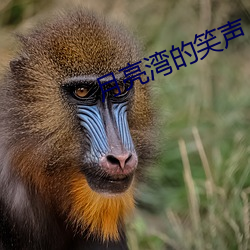 月亮灣的笑聲