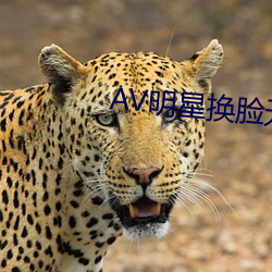 AV明星换脸无码精品区