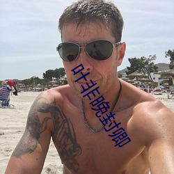 叶非(fēi)晚封卿