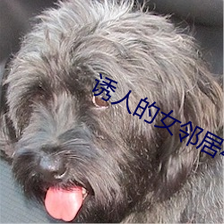 诱人(rén)的(de)女邻居(jū)4韩(hán)国