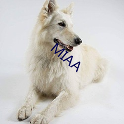 MIAA