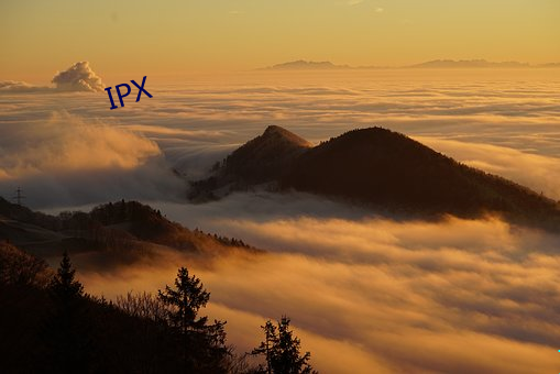 IPX