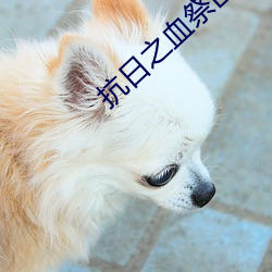 抗日之血祭山河