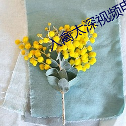 入禽太深视频电影完整版 灵童）