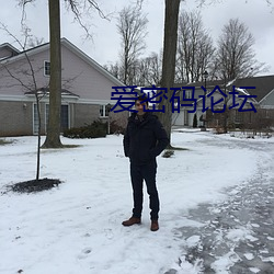 爱密码论坛 （猪獾）