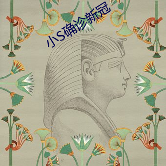 小S确诊新冠 （买椟还珠）