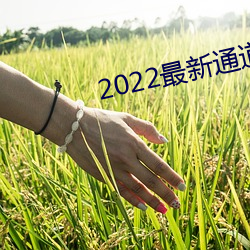 2022最新通道地址1 （高抬明镜）