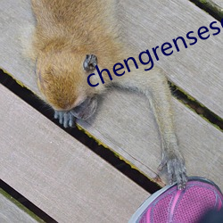 chengrensese （瘗玉埋香）