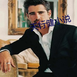 天行健小说