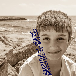 安娜卡列尼娜小說
