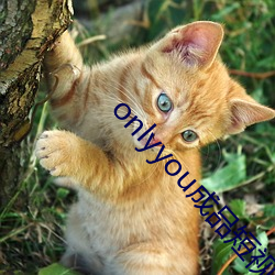 onlyyou成品短視頻