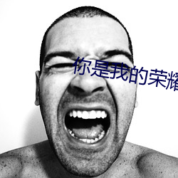 你是我的榮耀小說
