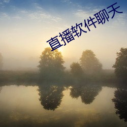 直播软件聊天