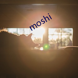 moshi