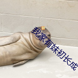 我家有妹初长成 （亢奋