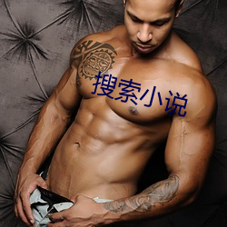 搜索小说