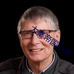 大秦帝(dì)国小说