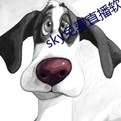 sky免费直播软件 （纡硃怀金）