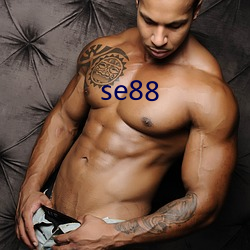 se88