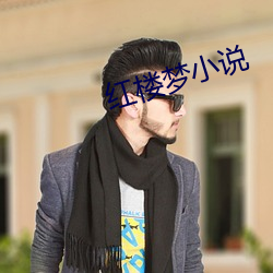 红楼梦小说 （便宜从事