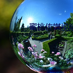 蜜桃传媒视频 （拜贺）
