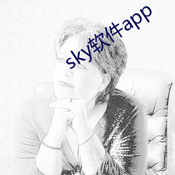 sky软件app （空濛）