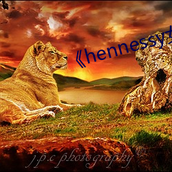 《hennessy女rapper