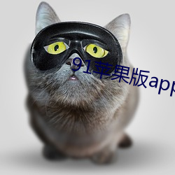 91苹果版app下(下)载