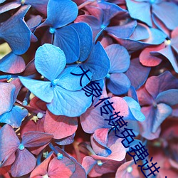 大象传(chu��n)媒免费进入(r��)713672