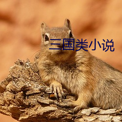 三國類小說