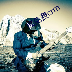 成免费crm