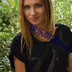 娱乐明星小说