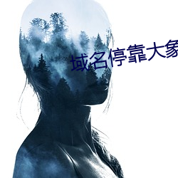 域名停靠大象成视频 搬石砸脚）