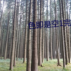 色即是空1完整版