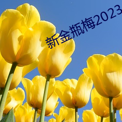 suncitygroup太阳集团--官方网站