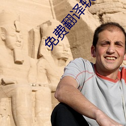 免费(費)翻译(譯)软件