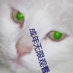 成年无限观看only you