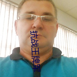 抗战王牌军
