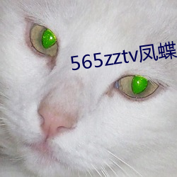 565zztv凤蝶